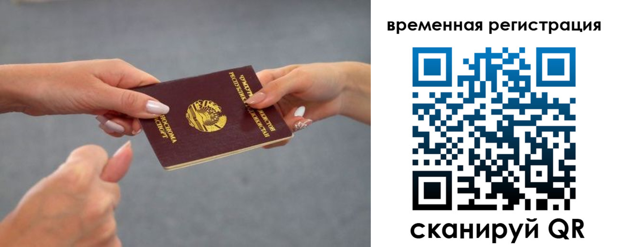 прописка гарантия в Вольске